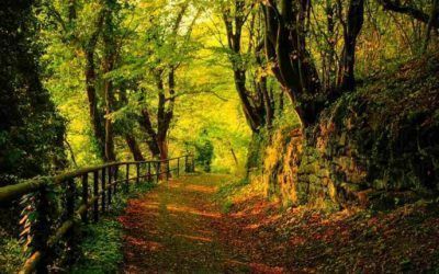 Viajar a Cádiz en otoño: qué puedes ver y hacer