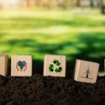 Alquiler Vacacional y desarrollo sostenible
