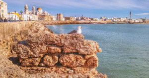 la calma una razón para el teletrabajo en cadiz